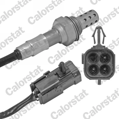Oxygen Sensor